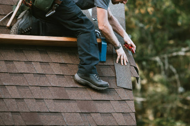 Best Metal Roofing Contractor  in Schaumburg, IL
